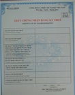 Giấy chứng nhận Đăng ký thuế (điều chỉnh)